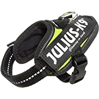 Los mejores  - Julius-K9 16IDC - Power Harness